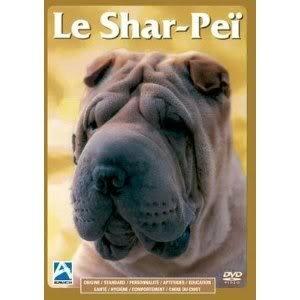 Acheter Le Shar-Peï Comme neuf - 11,68 € Le Shar-Peï Comme neuf - reconditionné disponible sur Label Emmaüs